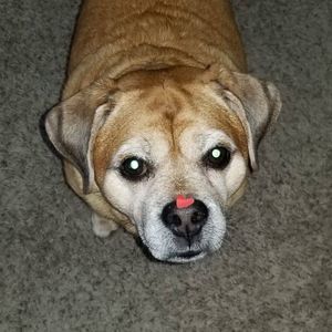 Meet your Posher, Jessicca